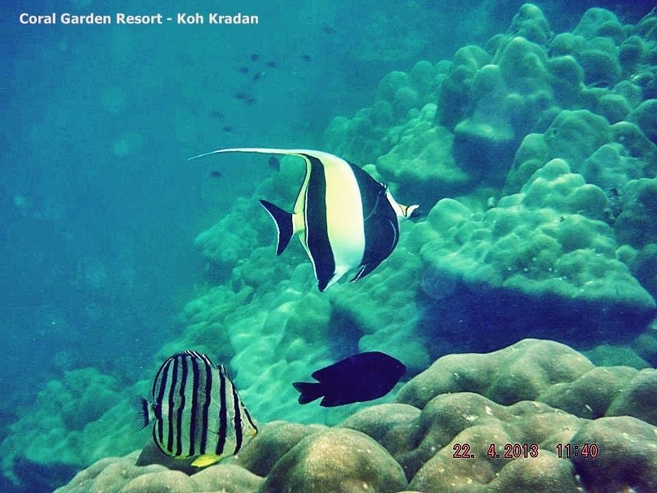 Coral Garden Resort Крадан Экстерьер фото